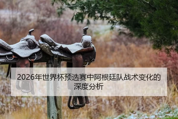 nian-shi-jie-bei-yu-xuan-sai-zhong-a-gen-ting-dui-zhan-shu-bian-hua-de-shen-du-fen-xi-1-451.jpg - Kaiyun Sports