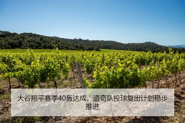 大谷翔平赛季40轰达成，道奇队投球复出计划稳步推进