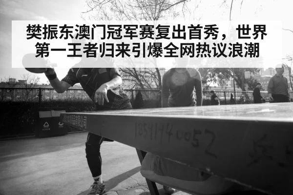 Fan Zhendong table tennis